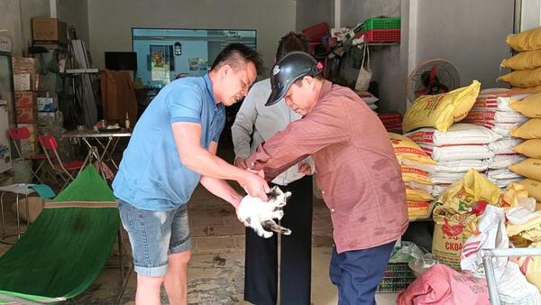 THỰC HIỆN KẾ HOẠCH CỦA ỦY BAN NHÂN DÂN XÃ NHẤT HÒA VỀ TRIỂN KHAI CHỐNG DỊCH BỆNH TRÊN ĐÀN VẬT NUÔI